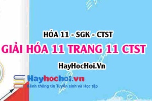 Giải Hóa 11 trang 11 SGK Chân trời sáng tạo